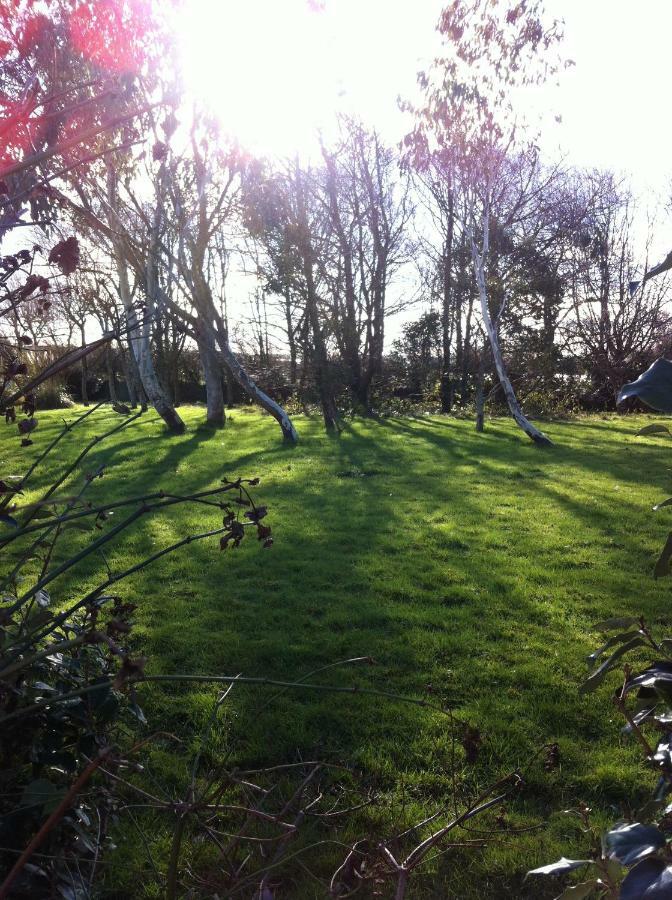 Treweens Wadebridge Luaran gambar